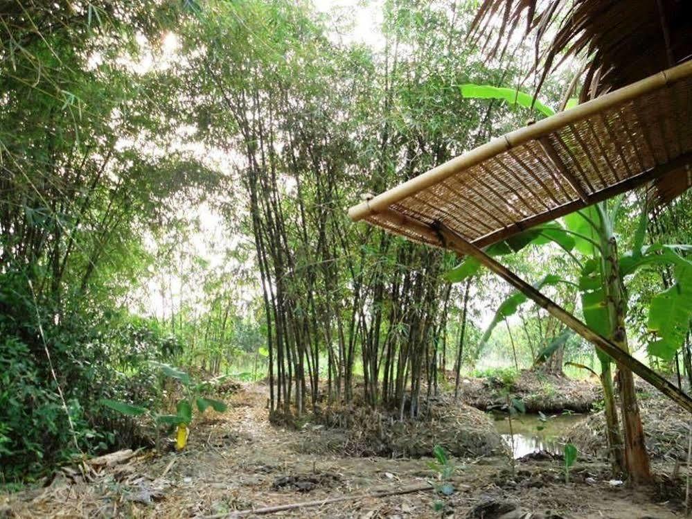 Green Village Homestay カントー エクステリア 写真
