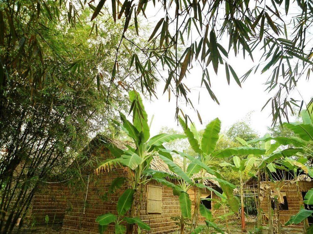 Green Village Homestay カントー エクステリア 写真