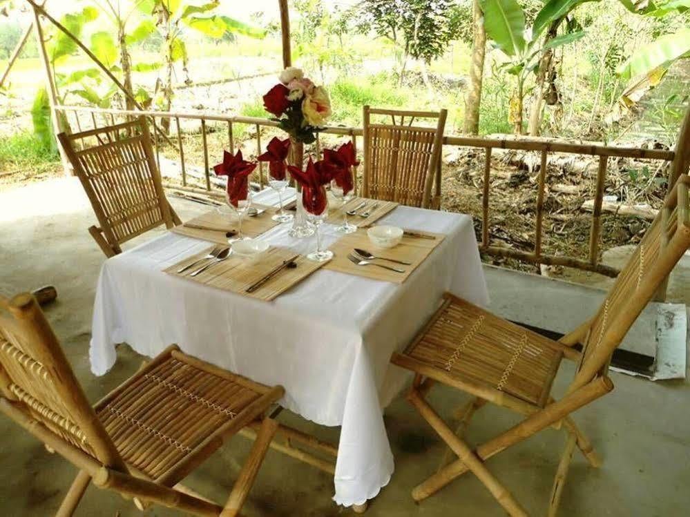 Green Village Homestay カントー エクステリア 写真
